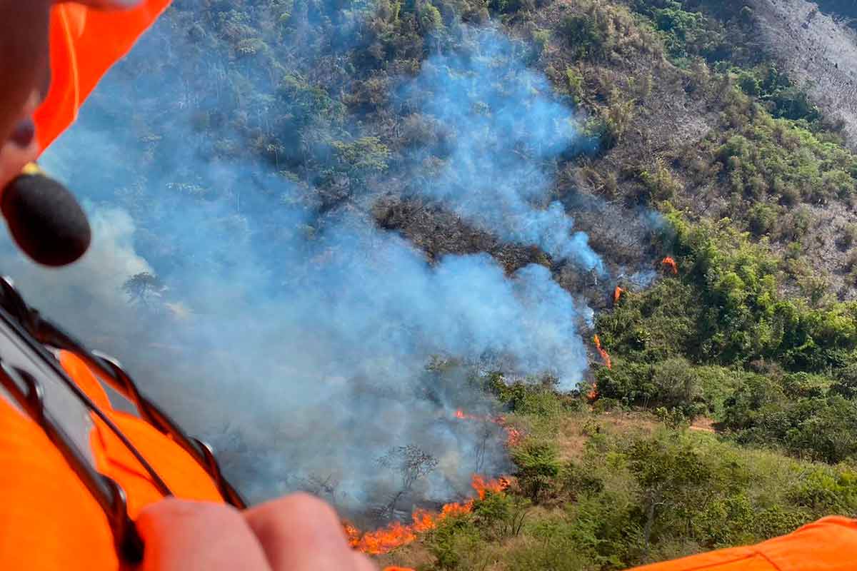 Bombeiros tentam apagar incêndio e proteger Parque Estadual da Mata do Krambeck 1 Incendio Parque Independencia 3 Bombeiros