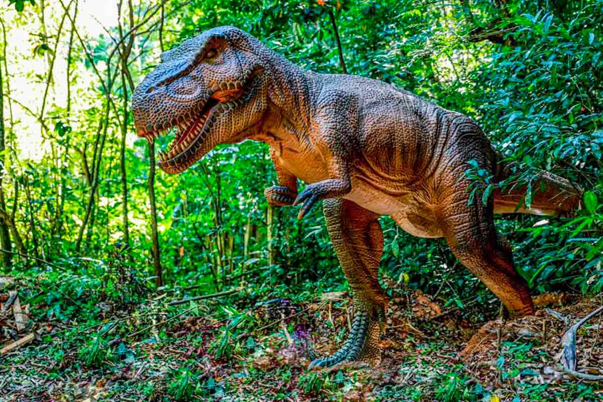 Cidade a 130 km de Juiz de Fora prevê parque da Bíblia, Terra dos Dinos e neve o ano todo; veja onde 2 Miguel Pereira Terra dos Dinos divulgacao