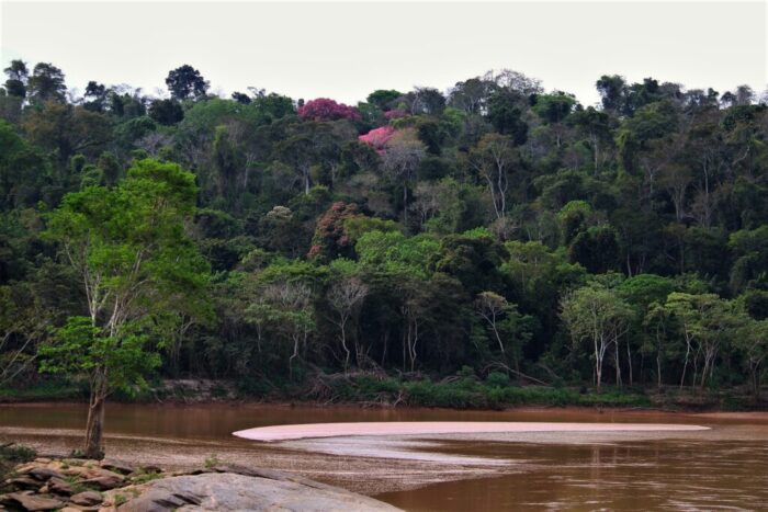 Primeira Unidade de Conservação de Minas, Parque Estadual do Rio Doce completa 80 anos 4 parque