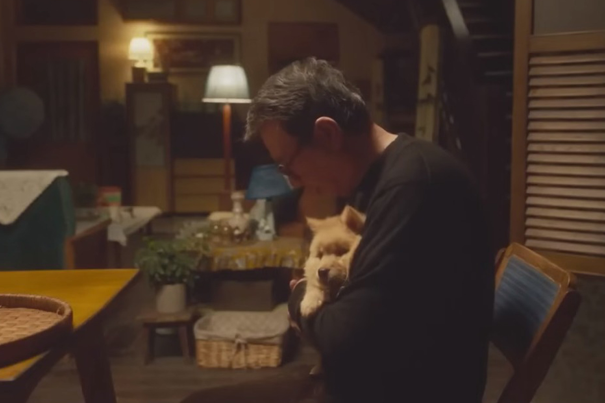 Conheça Hachiko, cachorro que tem sua história contada em filme 1 HACHIKO