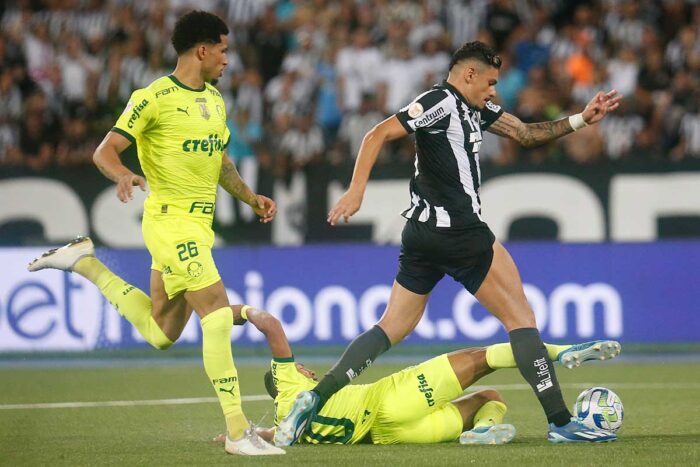 Botafogo x Palmeiras: onde assistir, horário e escalações 1 botafogo palmeiras by vitor silva bota editada
