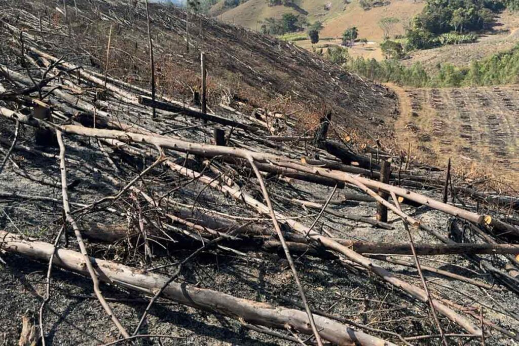 Área de cerca de 7 hectares é queimada em Cipotânea 2 incendio em Cipotanea 4 divulgacao policia militar do meio ambiente