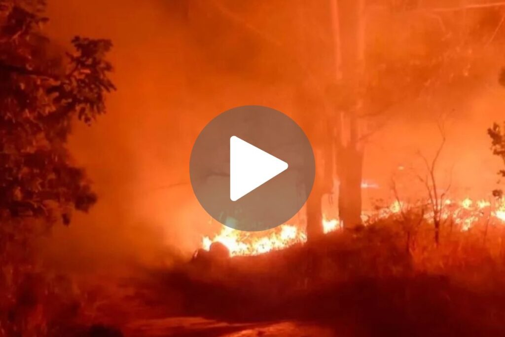 VÍDEO: Chamas atingem área de vegetação equivalente a 4 campos de futebol perto de metalúrgica 1 incendio sao joao del rei cbmmg VIDEO