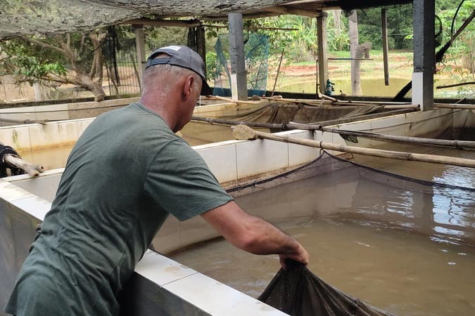 Cerca de 400 famílias vivem da renda da produção de peixes ornamentais na Zona da Mata 2 peixes ornamentais