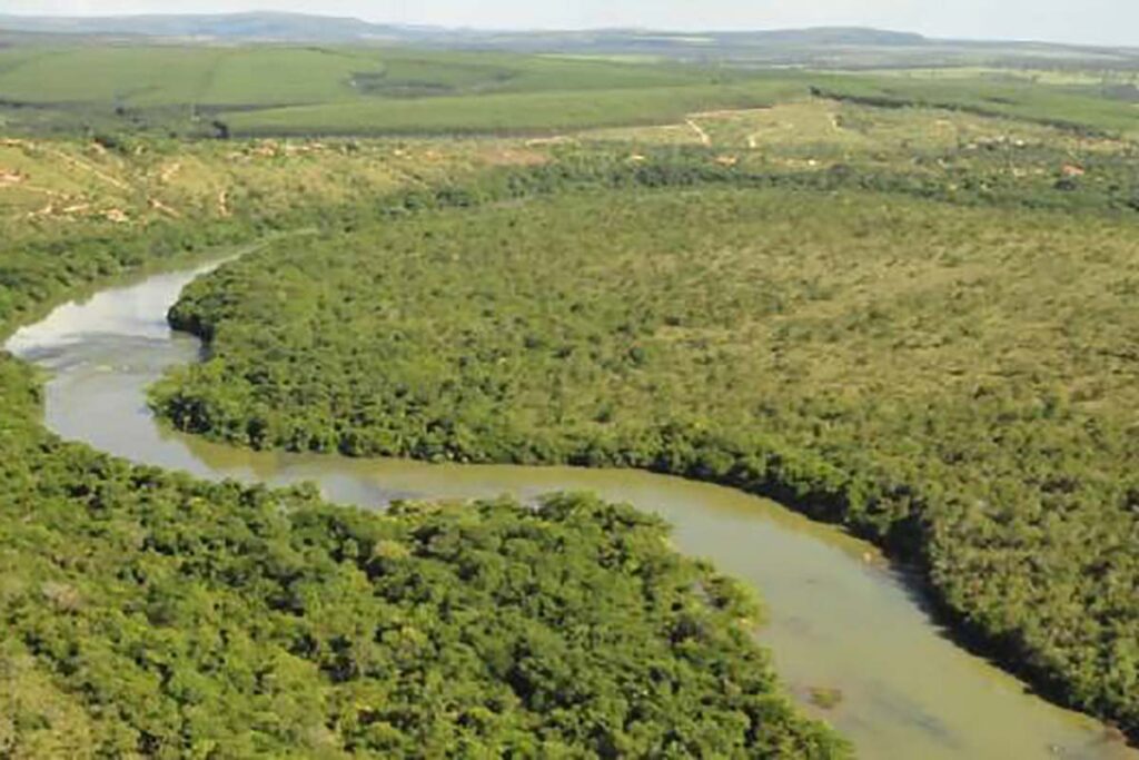 Reparação Brumadinho: região da Bacia do Paraopeba vai receber centro de apoio às mulheres em situação de violência doméstica 2 reparacao brumadinho Bacia do Paraopeba foto sisema divulgacao site dest