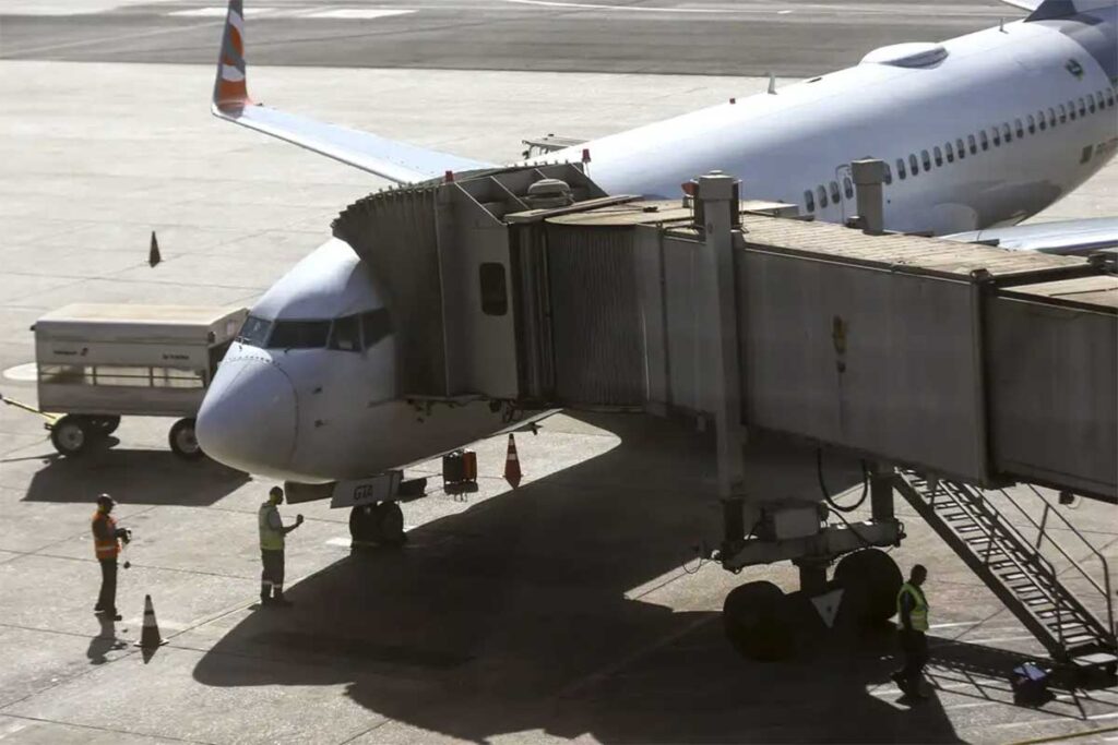 Comissão do governo vai definir regras para transporte aéreo de pets 1 transporte aéreo