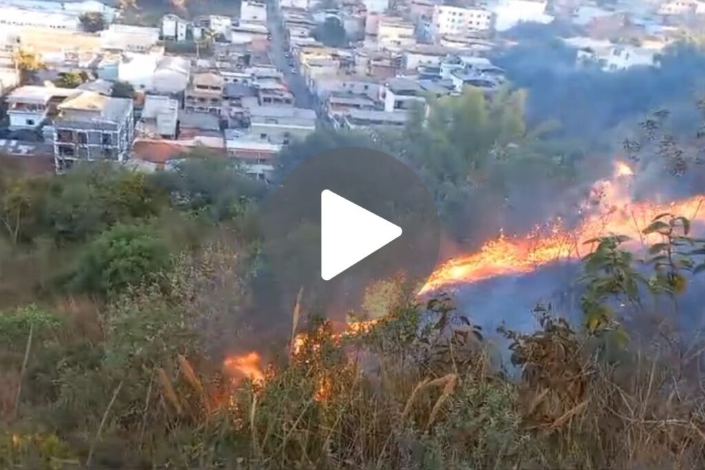 Mais de 4 hectares de terreno com vegetação densa pegam fogo em São João del-Rei 1 vegetacao incendio sao joao del rei bombeiros