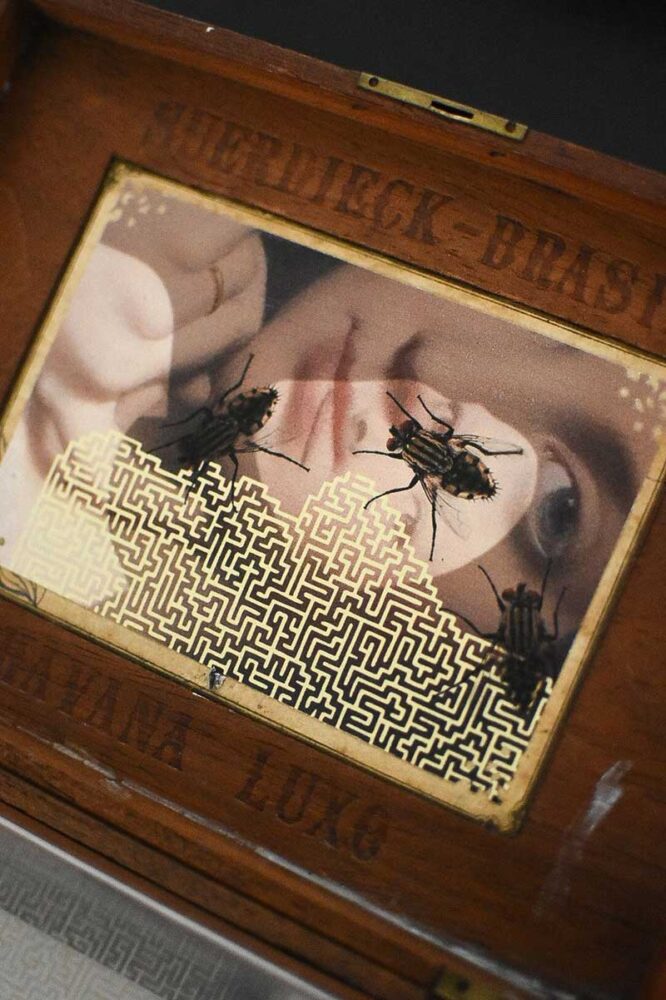 Exposição 'Apropriação Indébita' propõe reflexão sobre a imagem na era digital 1 2 1