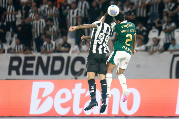 Botafogo x Palmeiras: onde assistir, horários e escalações 1 Botafogo x Palmeiras
