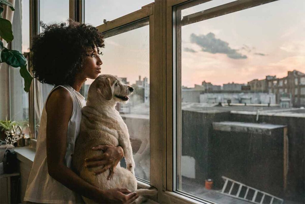 Conexão intensa com cachorro reduz risco de depressão e ansiedade 1 Conexão intensa com cachorro reduz risco de depressão e ansiedade