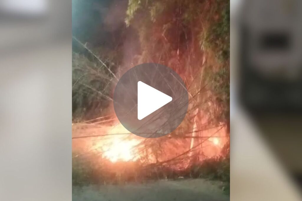 VÍDEO: Incêndio atinge bambuzal e interdita via 1 incêndio