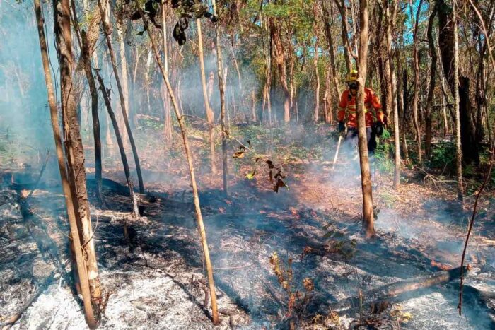Incêndios e fumaça afetam saúde e causam riscos à população de Juiz de Fora 1 fogo