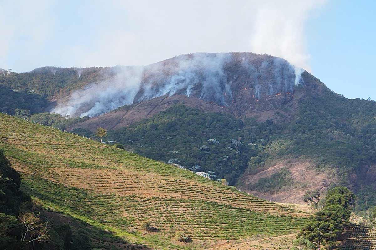 Bombeiros tentam combater incêndio no Parque Estadual Serra do Brigadeiro há três dias 1 incendio serra do brigadeiro 2 divulgacao corpo de bombeiros
