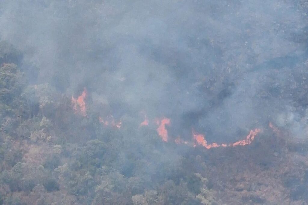 Bombeiros tentam combater incêndio no Parque Estadual Serra do Brigadeiro há três dias 2 incendio serra do brigadeiro divulgacao corpo de bombeiros