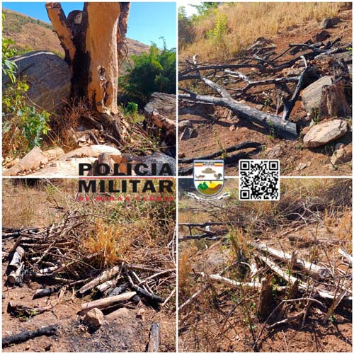 Desmatamento e empreendimento ilegal em áreas de preservação geram multa de mais de R$ 120 mil na região 1 leopoldina irregularidades area preservacao foto pmma 4