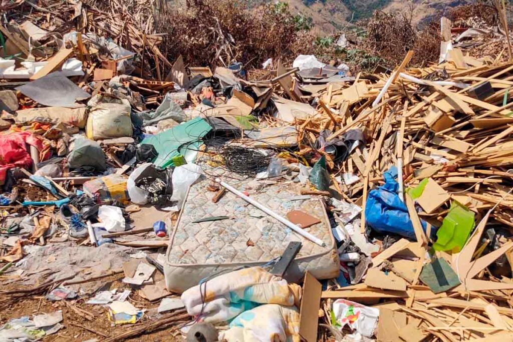 Desmatamento e empreendimento ilegal em áreas de preservação geram multa de mais de R$ 120 mil na região 2 leopoldina irregularidades area preservacao foto pmma dest