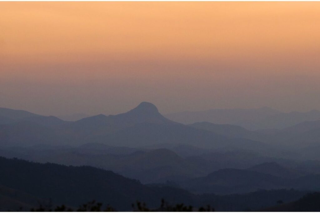 Conforto térmico e qualidade do ar estão entre os benefícios das áreas verdes nas cidades 5 pico pico da formiga juiz de fora