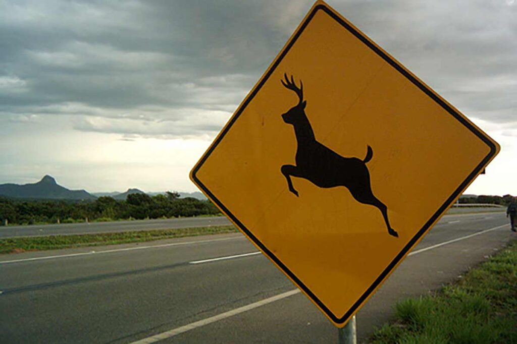 STJ: Concessionárias devem indenizar motoristas por acidentes causados por animais na pista 1 placa de animais na pista