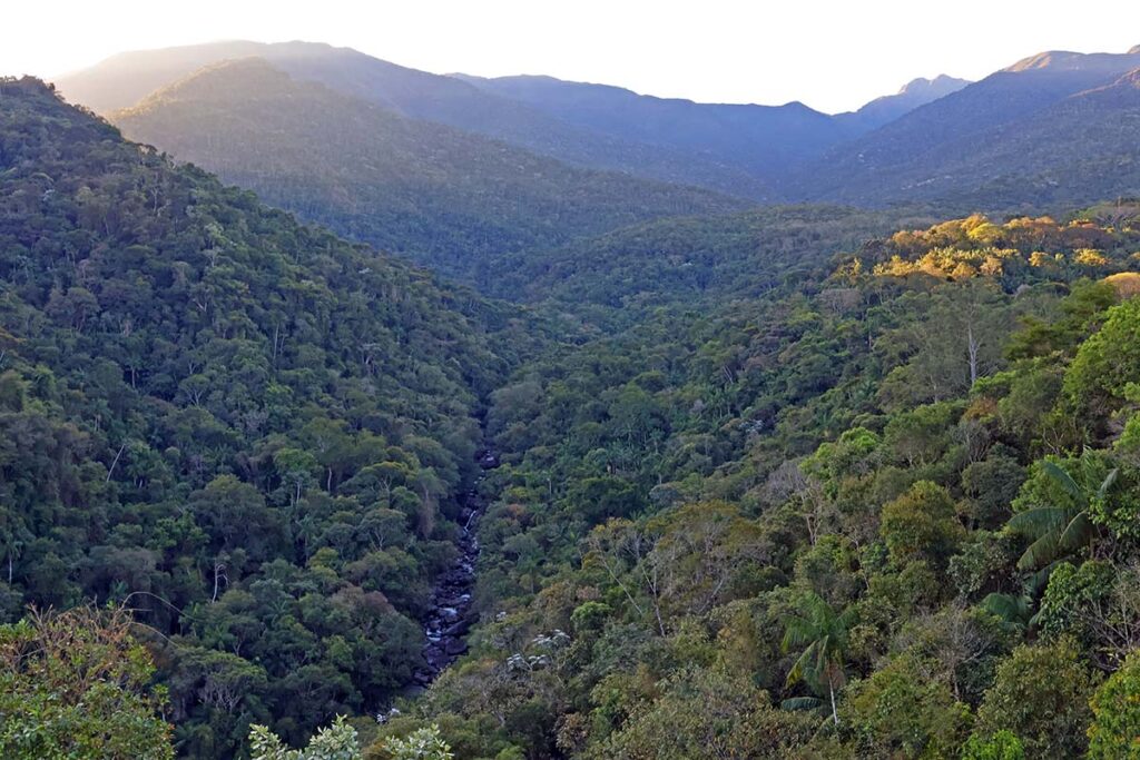 Parque Nacional do Itatiaia: uma visita à Mata Atlântica com sotaques mineiro e carioca 2 Parque Nacional do Itatiaia