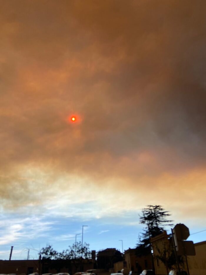 Portugal enfrenta crise de incêndios com 145 focos ativos, juiz-forano relata estado de alerta no país 1 Portugal enfrenta crise de incendios com 36 focos ativos 1