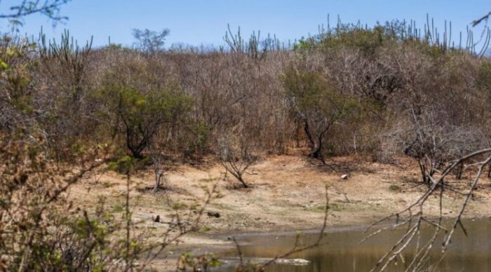 Seca deixa municípios em emergência no Leste 1 Seca deixa municipios em emergencia no Leste