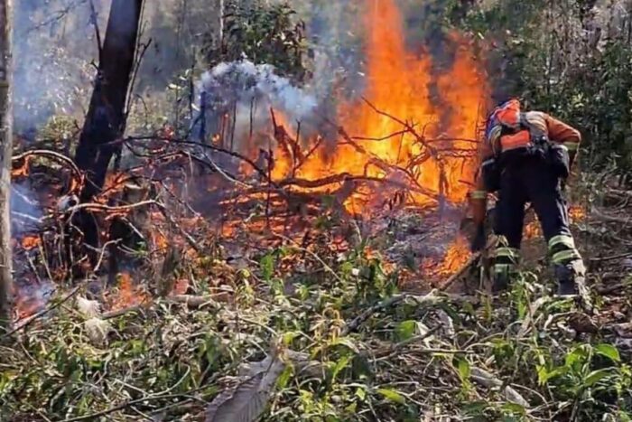 Incêndios atingem sete Unidades de Conservação em Minas Gerais 2 bombeiros. pau furado