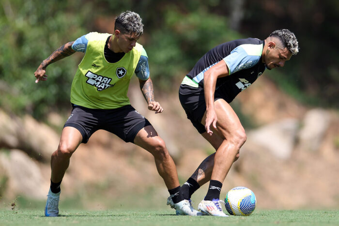 Botafogo x Corinthians: onde assistir, horário e escalações 1 botafogo by vitor silva editada