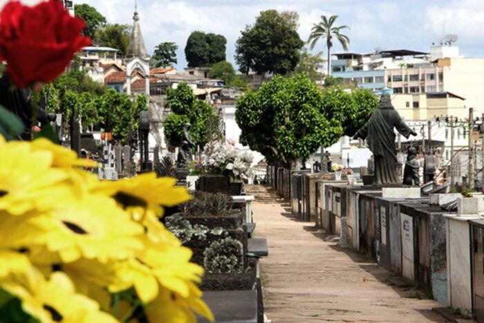 PJF inicia licenciamento provisório para vendas de flores nos cemitérios 1 flores velas