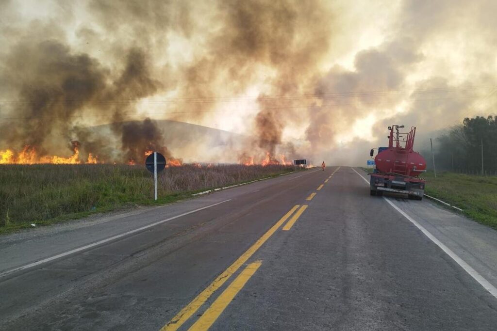 Incêndio na BR-267 queimou cerca de 10 hectares em Igrejinha 2 incendio igrejinha 7 divulgacao corpo de bombeiros