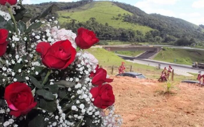 Produtores de flores comemoram safra em Minas 1 Produtores de flores comemoram safra em Minas