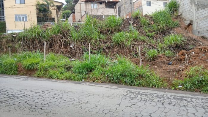 Terreno abandonado no Parque Independência coloca segurança em risco 1 Terreno abandonado no Parque Independencia coloca seguranca em risco