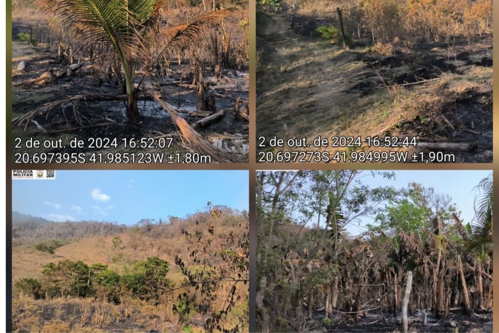 Incêndio atinge área de regeneração da Mata Atlântica 1 incêndio