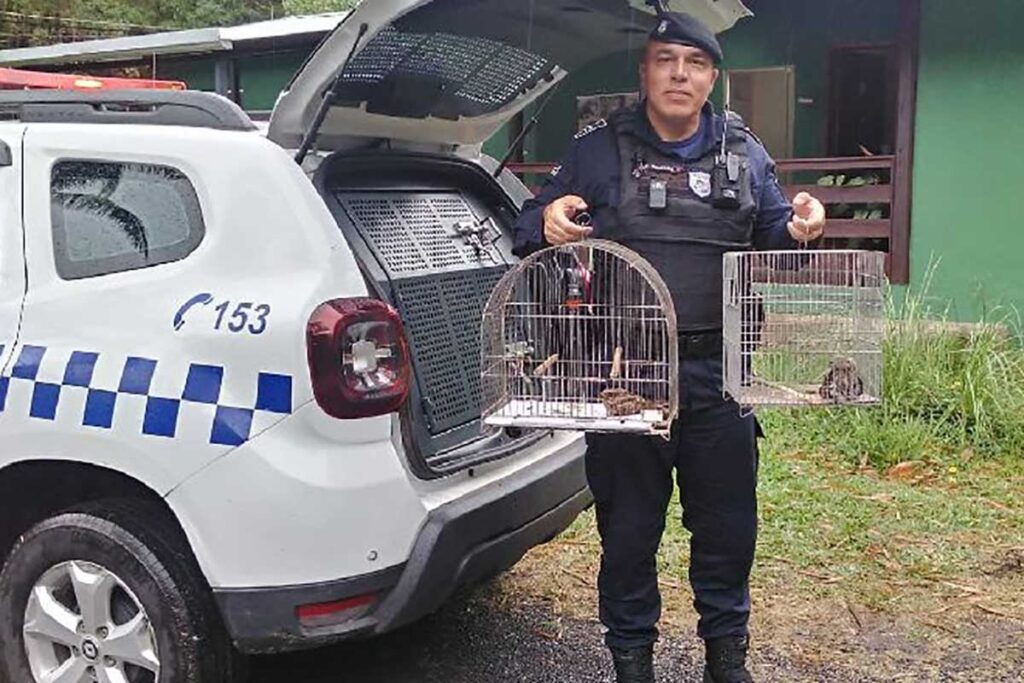 Guarda Municipal contabiliza 170 resgates de animais silvestres em 2024 1 guardamunicipalanimaissilvestres