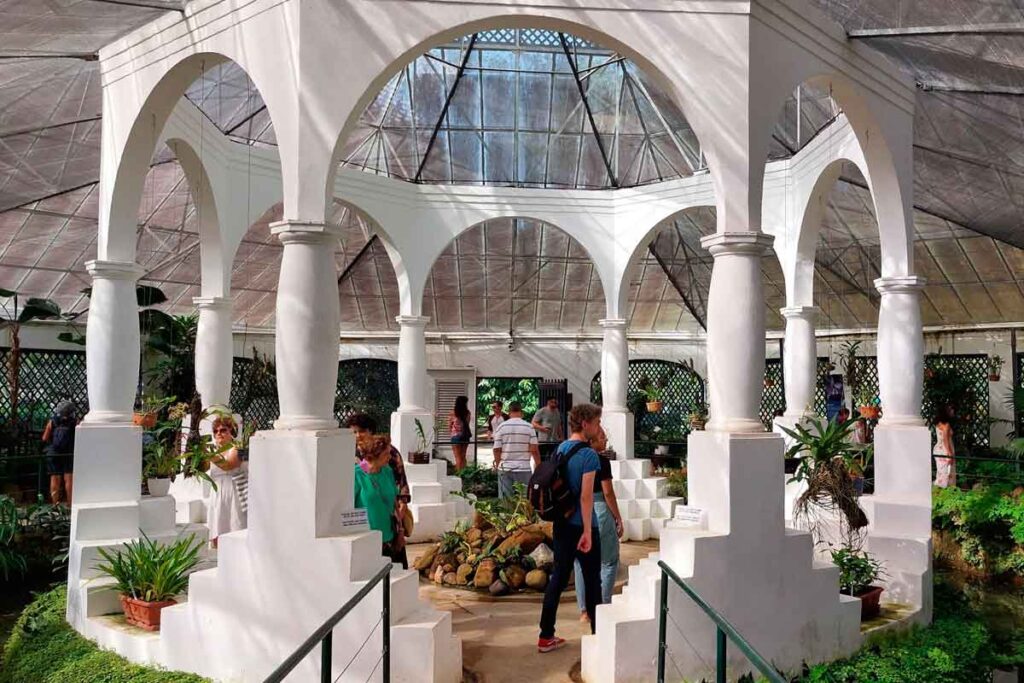 Jardim Botânico do Rio abre concurso com 20 vagas e salários de até R$ 13 mil 1 jardim botanico rj