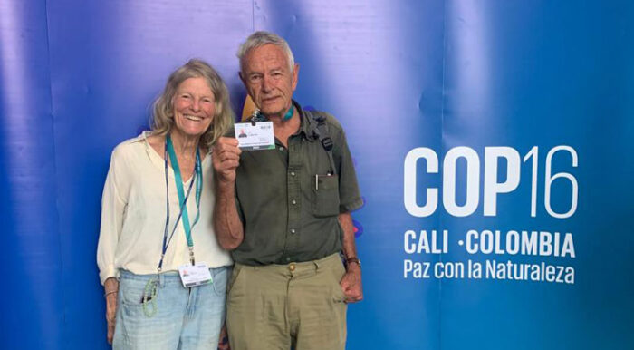 Coluna Cesar Romero – 10 e 11 de novembro de 2024 6 JF por Ai COP16 na Colombia