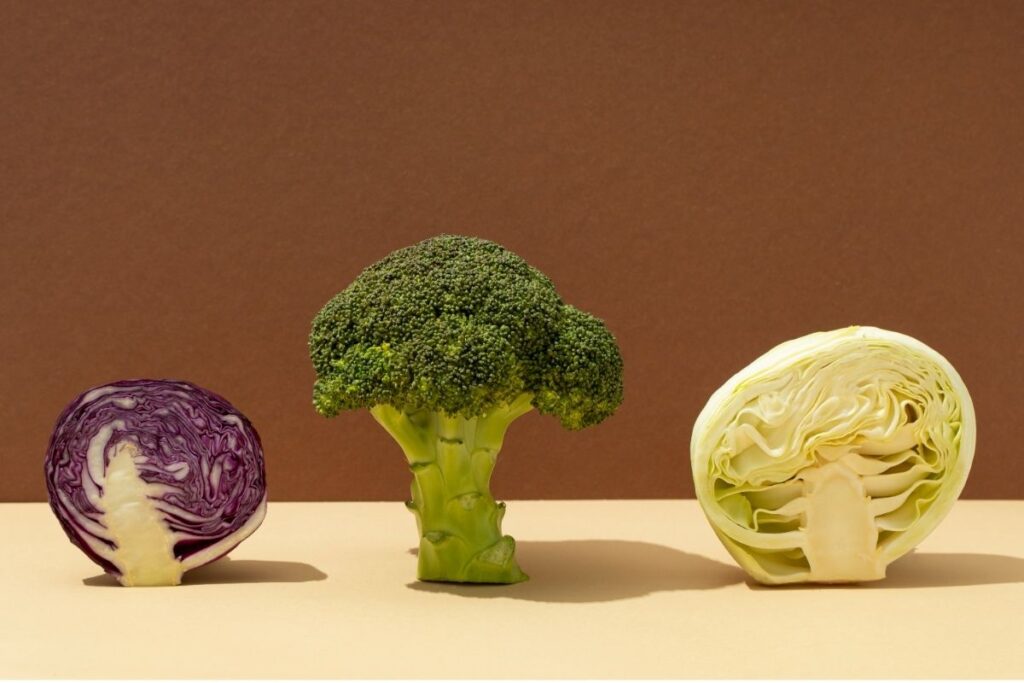 Aliados anticâncer: por que vale comer mais vegetais como brócolis e repolho 1 brócolis repolho