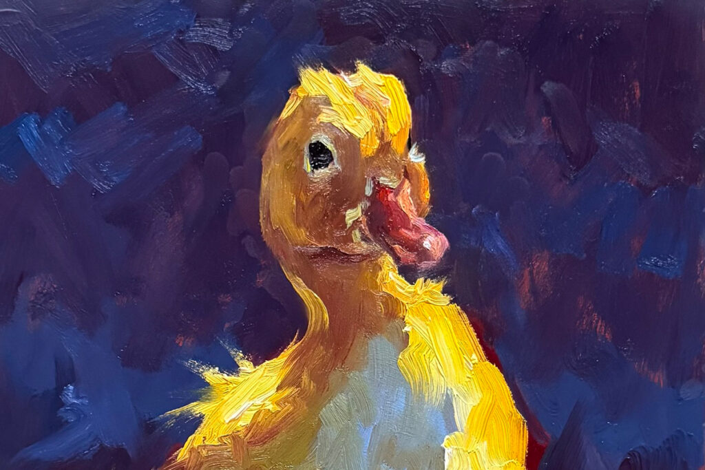 pato