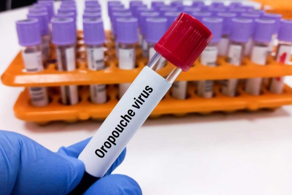 oropouche vírus gestação
