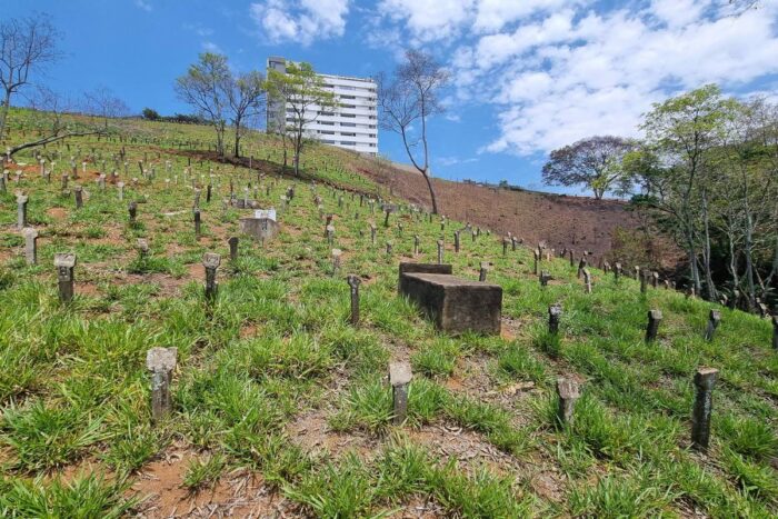 Sem identidade: só em 2024, Juiz de Fora soma 273 mortes sem nomes 1 site CEMITERIO MUNICIPAL DE JUIZ DE FORA FOTO LEONARDO COSTA 1 1