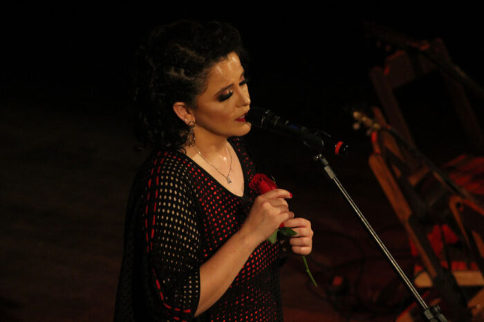 Luciana d’Avila comemora 25 anos de carreira com show no Central 1 Luciana d'Avila show no Central