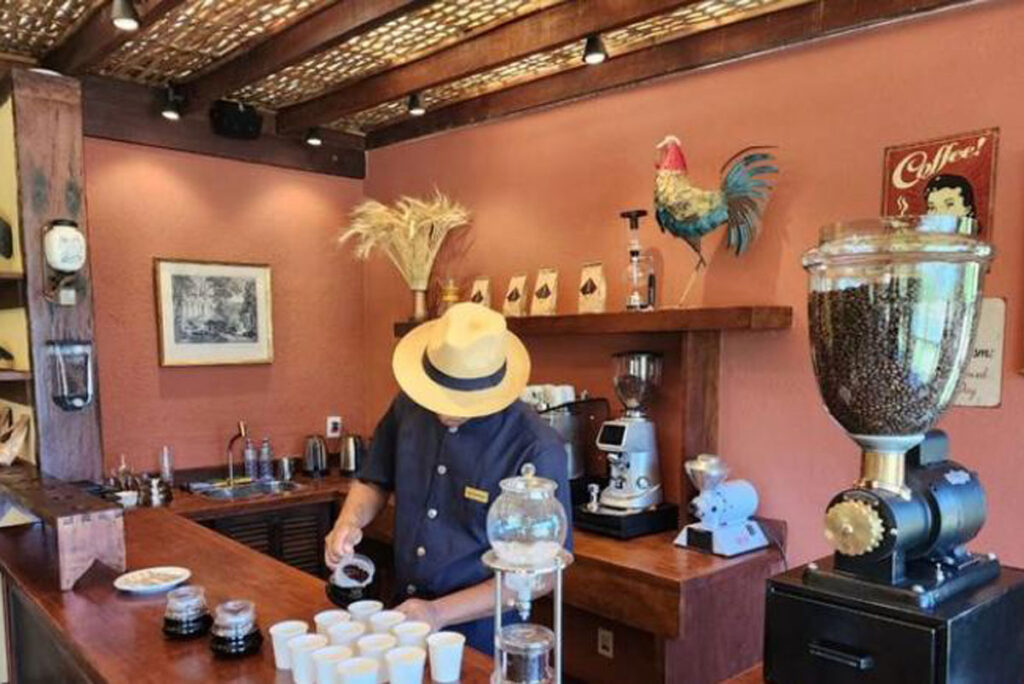 replanta vale do café