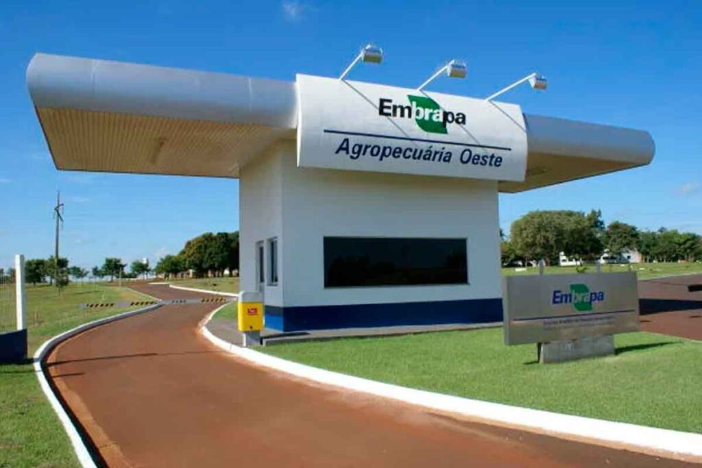 Concurso da Embrapa tem inscrições prorrogadas até 14 de janeiro 1 embrapa divulgacao