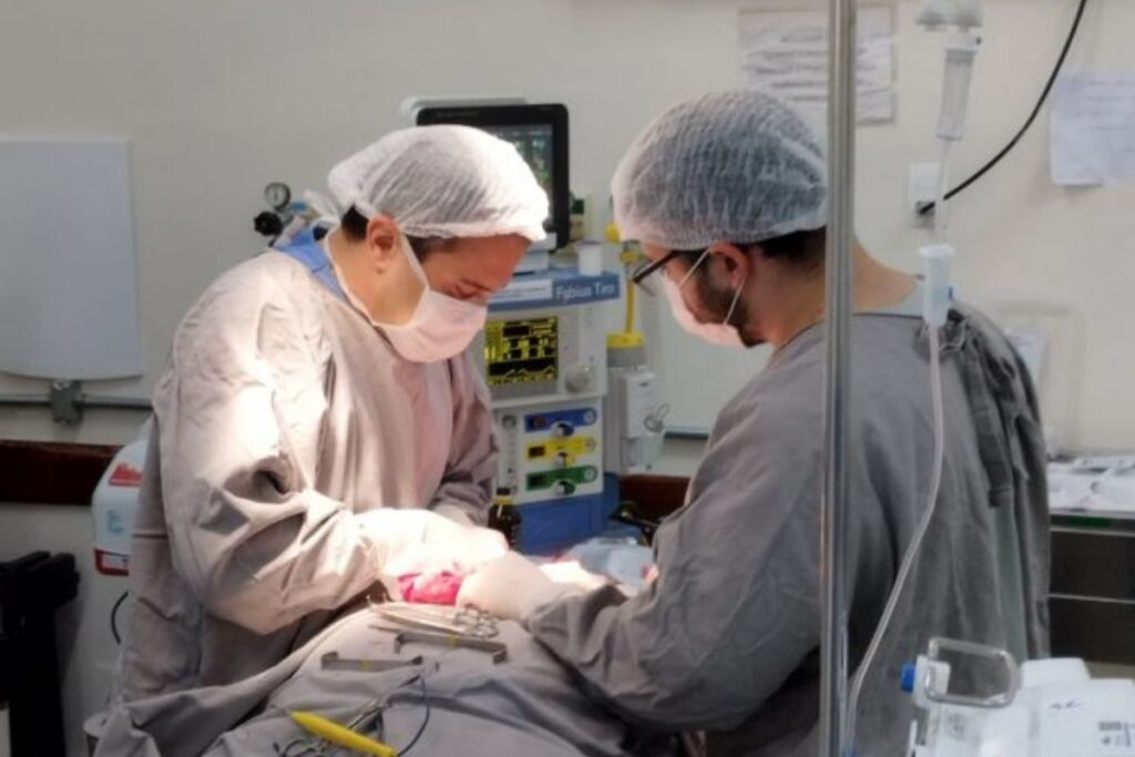 HU-UFJF realiza mutirão com 11 cirurgias oncológicas e urológicas 1 mutirão