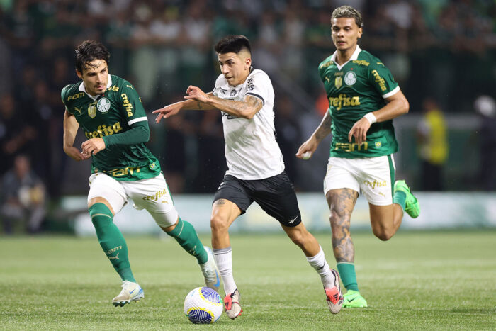Apenas Botafogo e Palmeiras têm chances de conquistar o Brasileirão; veja probabilidades 1 palmeiras botafogo by vitor silva botafogo editada