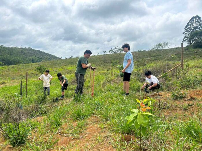 Voluntários plantam mais de 5 mil árvores em reserva da Mata Atlântica 3 chacara