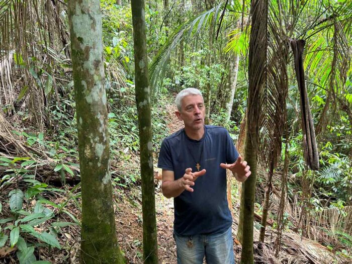 Voluntários plantam mais de 5 mil árvores em reserva da Mata Atlântica 2 chacara