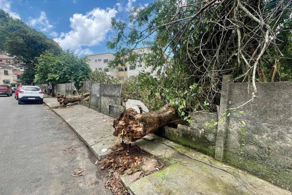 Vendaval registrado em Juiz de Fora é o segundo maior em 35 anos 1 CHUVA RUA MONSENHOR GUSTAVO FREIRE FOTO FELIPE COURI 1