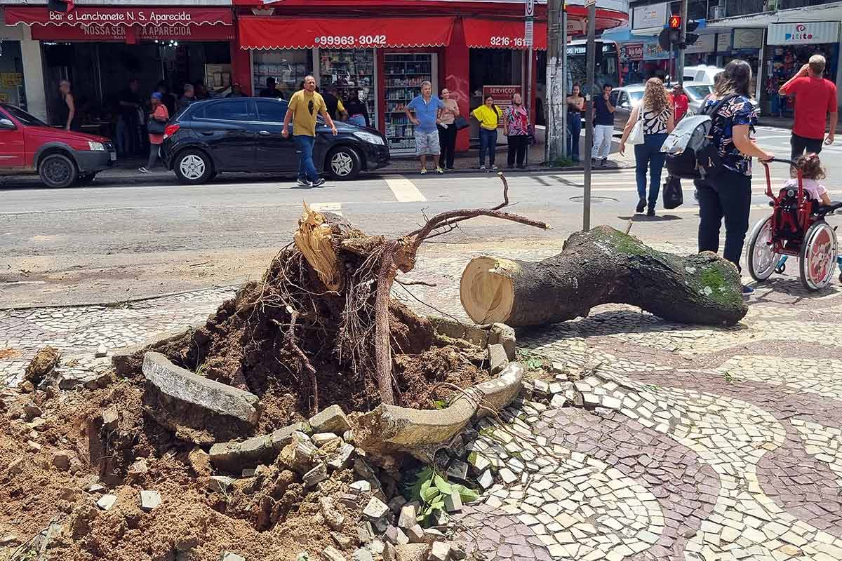 CHUVA---SÃO-SEBASTIÃO-COM-GETULIO-VARGAS-03---FOTO-LEONARDO-COSTA CHUVA---SÃO-SEBASTIÃO-COM-GETULIO-VARGAS-03---FOTO-LEONARDO-COSTA