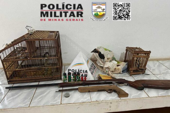 Polícia apreende bico de tucano e aves silvestres em propriedade no interior de Minas 1 Policia Ambiental apreende aves e armas em propriedade no interior de Minas