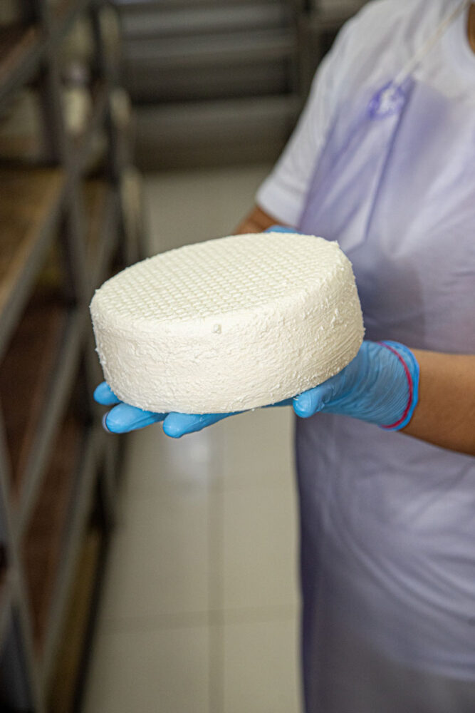 Queijo Minas Artesanal: da tradição à inovação, processo de produção guarda segredos 2 queijo minas artesanal